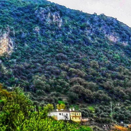 Affittacamere El Antiguo Molino El Bosque Esterno foto