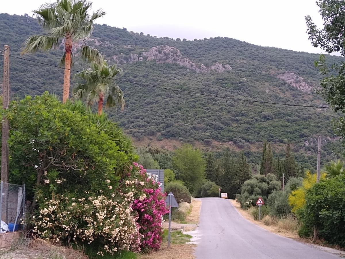 Affittacamere El Antiguo Molino El Bosque Esterno foto