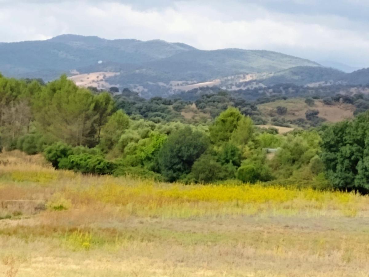 Affittacamere El Antiguo Molino El Bosque Esterno foto
