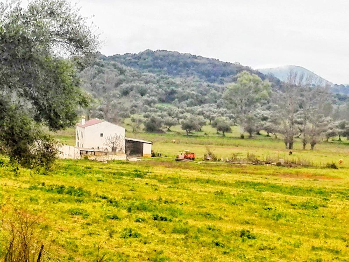 Affittacamere El Antiguo Molino El Bosque Esterno foto