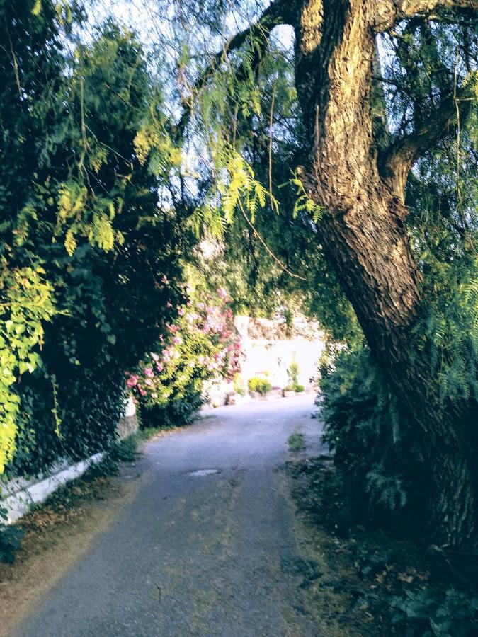 Affittacamere El Antiguo Molino El Bosque Esterno foto