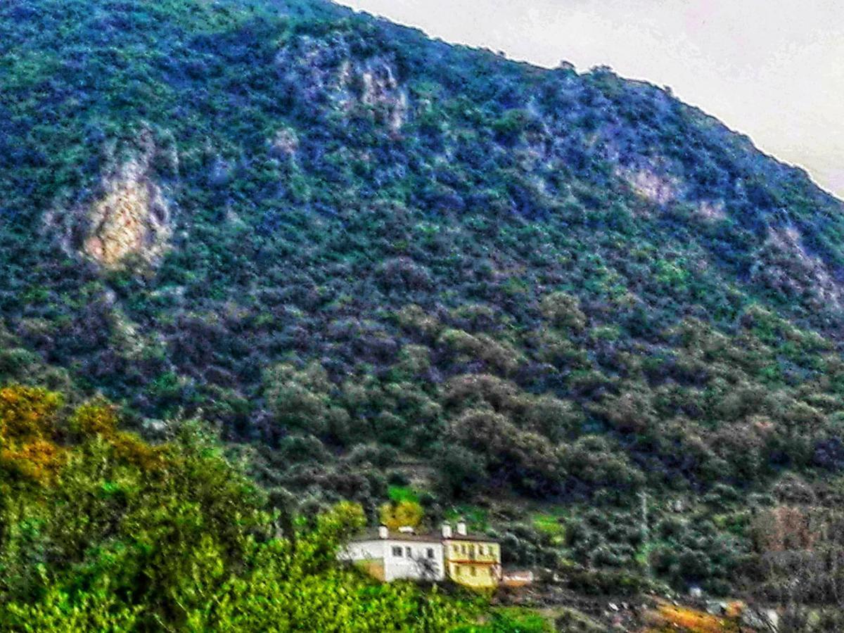 Affittacamere El Antiguo Molino El Bosque Esterno foto