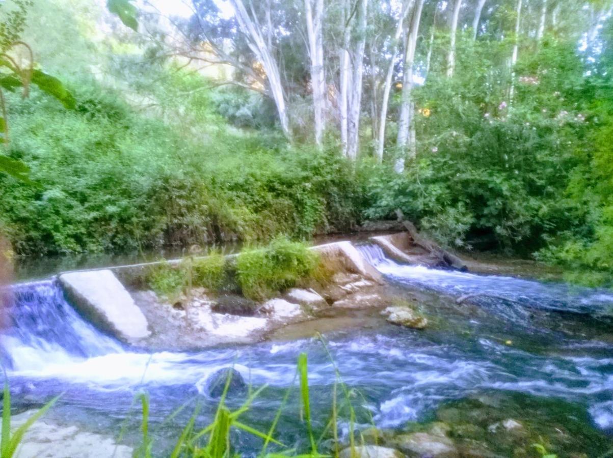 Affittacamere El Antiguo Molino El Bosque Esterno foto