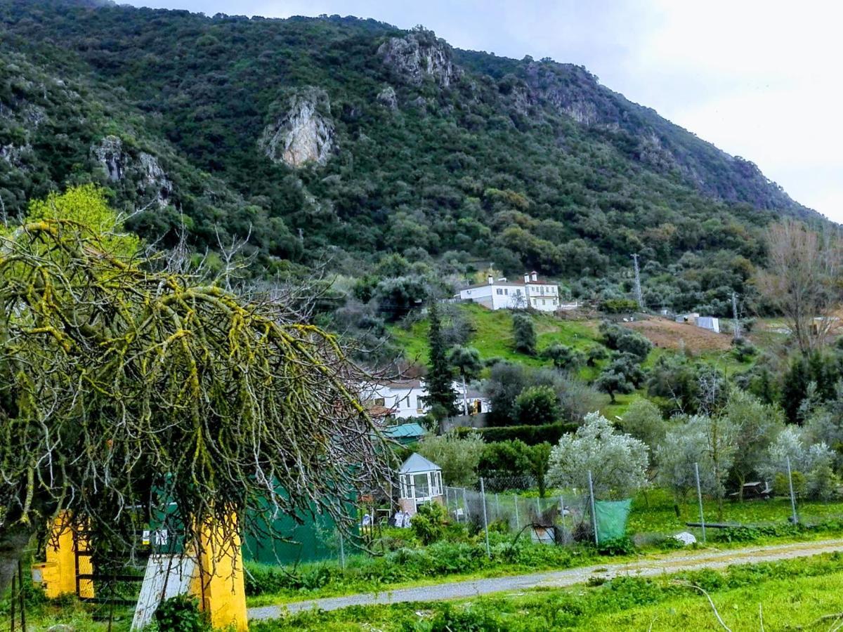 Affittacamere El Antiguo Molino El Bosque Esterno foto